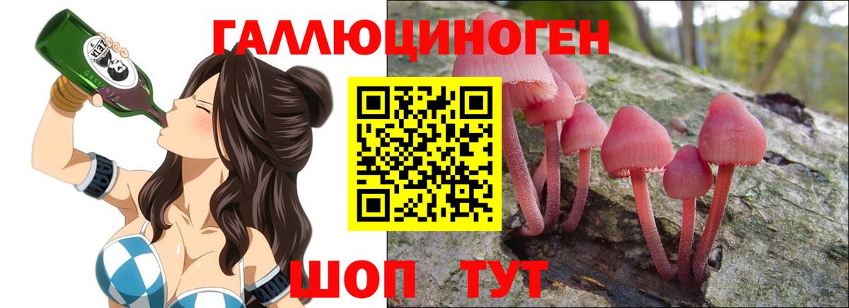Кузнецк  Псилоцибиновые грибы мицелий  Вход с VPN  Галлюциногенные грибы GOLDEN TEACHER 