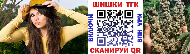 Шишки марихуана сатива  Кузнецк 